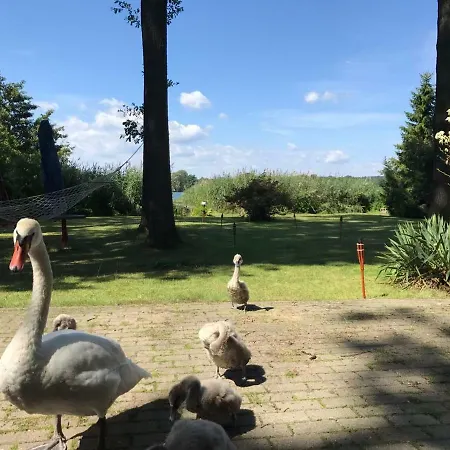 Direkt Am Σπίτι διακοπών Bad Saarow