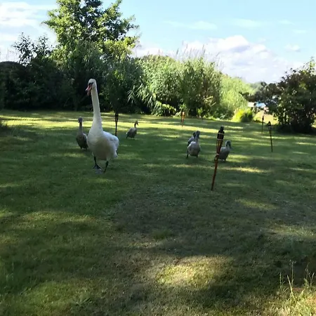 Direkt Am * Bad Saarow
