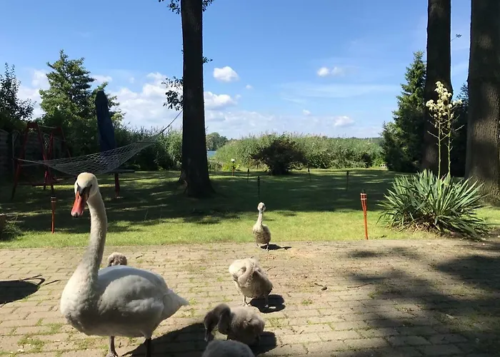 Direkt Am Сasa de vacaciones Bad Saarow
