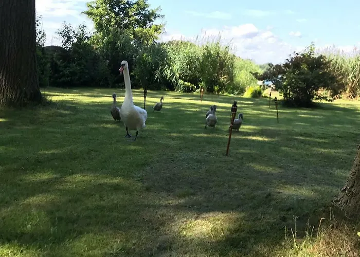 Direkt Am * Bad Saarow
